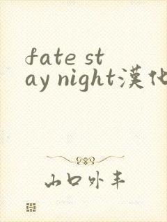 fate stay night汉化版
