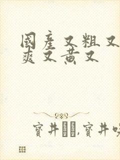 国产又粗又猛又爽又黄又