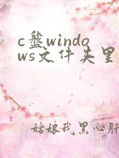 c盘windows文件夹里哪些可以删除