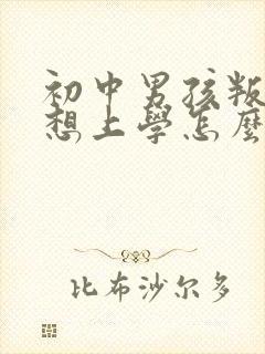 初中男孩叛逆不想上学怎么办