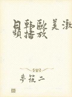 日韩欧美激情视频播放