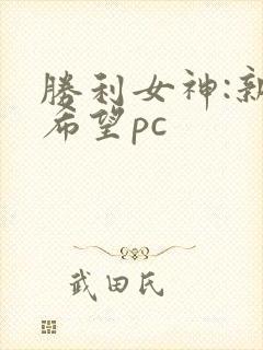 胜利女神:新的希望pc