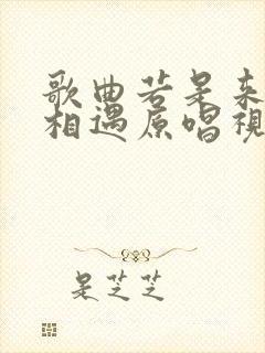 歌曲若是来生再相遇原唱视频