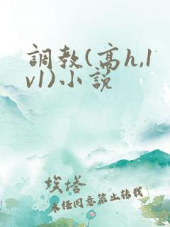 调教(高h,1v1)小说