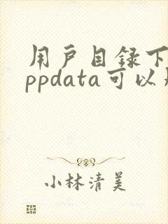 用户目录下的appdata可以删吗