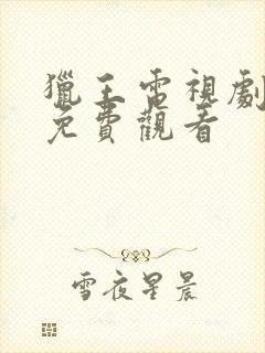 猎王电视剧全集免费观看