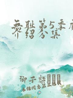 无耻第5季剧情介绍分集
