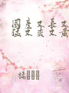 国产又长又粗又猛又爽又黄的视频