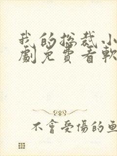 我的总裁小姨短剧免费看软件