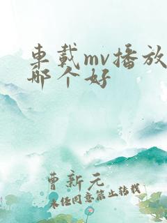 车载mv播放器哪个好
