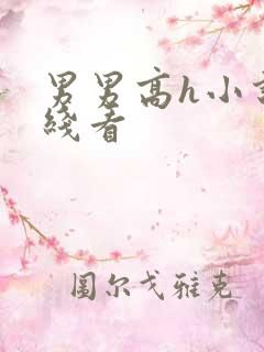 男男高h小说在线看