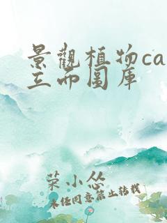 景观植物cad立面图库