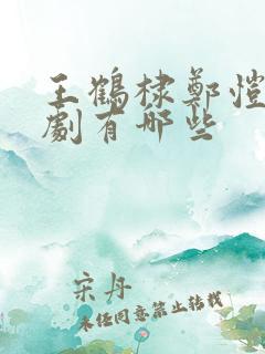 王鹤棣郑恺电视剧有哪些