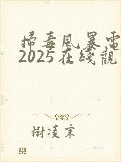 扫毒风暴电视剧2025在线观看全集