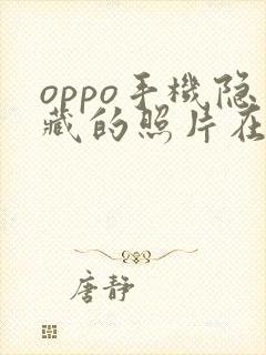 oppo手机隐藏的照片在哪个文件夹