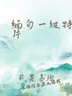 缅甸一级特黄大片