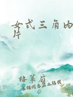 女式三角内裤图片