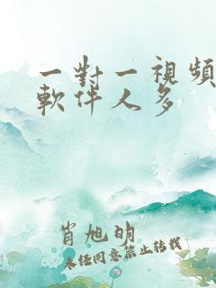 一对一视频聊天软件人多