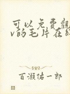 可以免费观看av的毛片在线观看