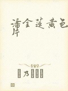 潘金莲黄色一级片