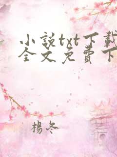 小说txt下载全文免费下载
