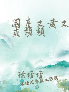 国产又黄又粗又爽视频