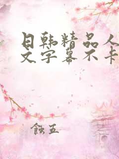 日韩精品人妻中文字幕不卡乱码