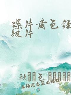 碟片黄色录像一级片