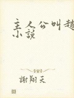 主人公叫赵辰的小说