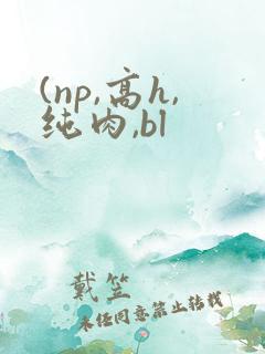(np,高h,纯肉,bl