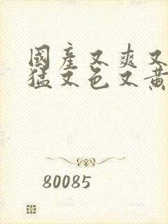 国产又爽又粗又猛又色又黄免费视频