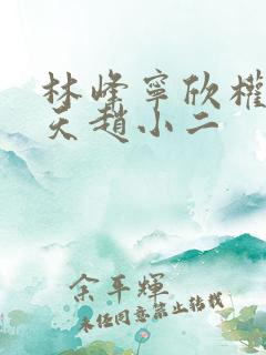 林峰宁欣权势滔天赵小二