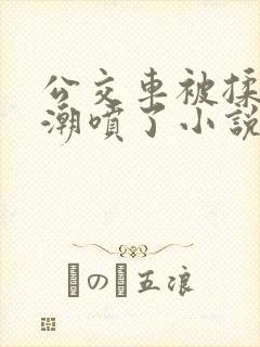 公交车被揉到高潮喷了小说