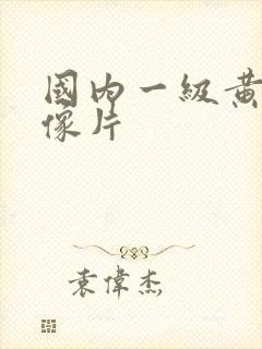 国内一级黄色录像片