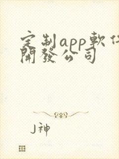 定制app软件开发公司