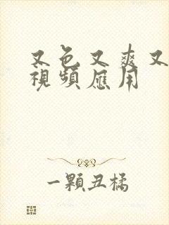 又色又爽又黄的视频应用