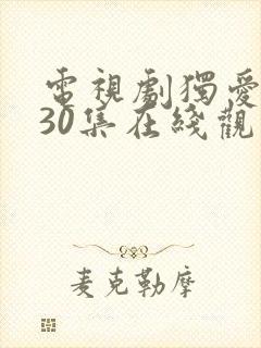 电视剧独爱一生30集在线观看免费