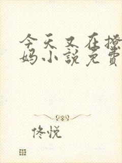 今天又在撩拨后妈小说免费阅读