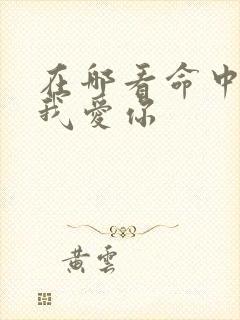 在哪看命中注定我爱你