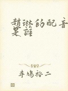 赵琳的配音演员是谁