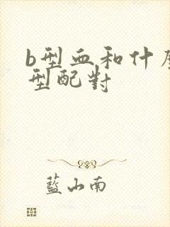 b型血和什么血型配对