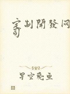 定制开发网站公司