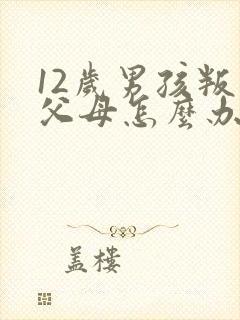 12岁男孩叛逆父母怎么办