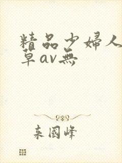 精品少妇人妻嫩草av无