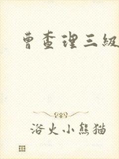 曹查理三级全部