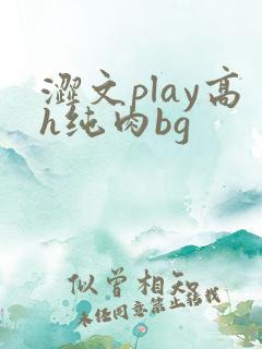 涩文play高h纯肉bg