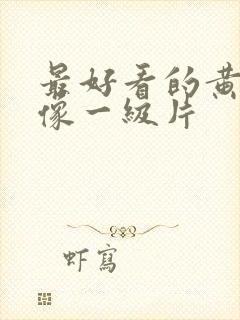 最好看的黄色录像一级片