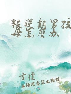 叛逆期男孩骂父母怎么办