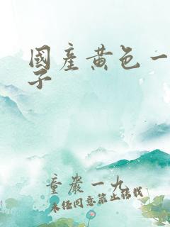 国产黄色一级片子