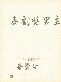 泰剧双男主小说